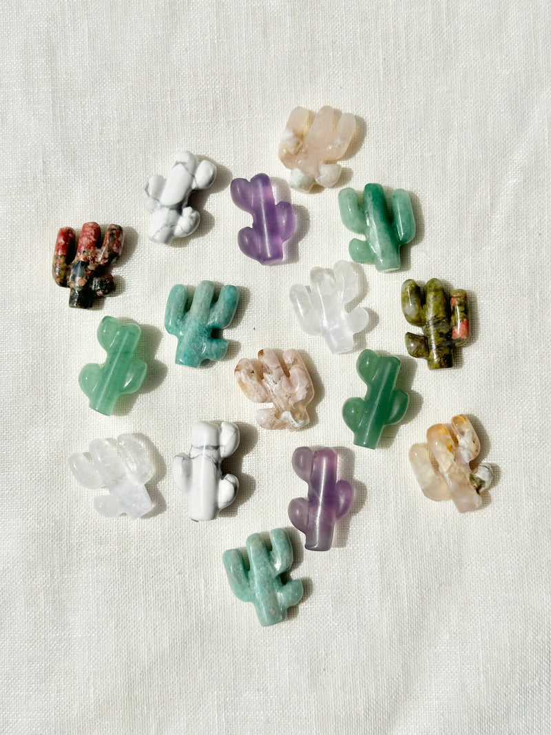 Mini cactus  | Cristaux