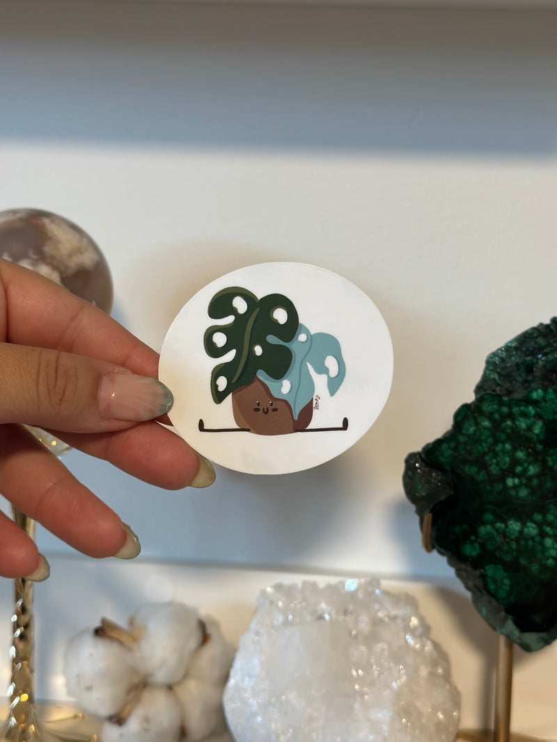 Autocollant | Monstera