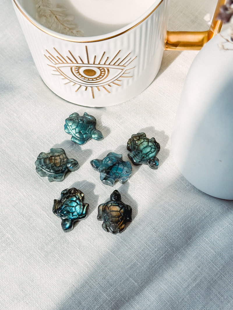 Tortue | Labradorite