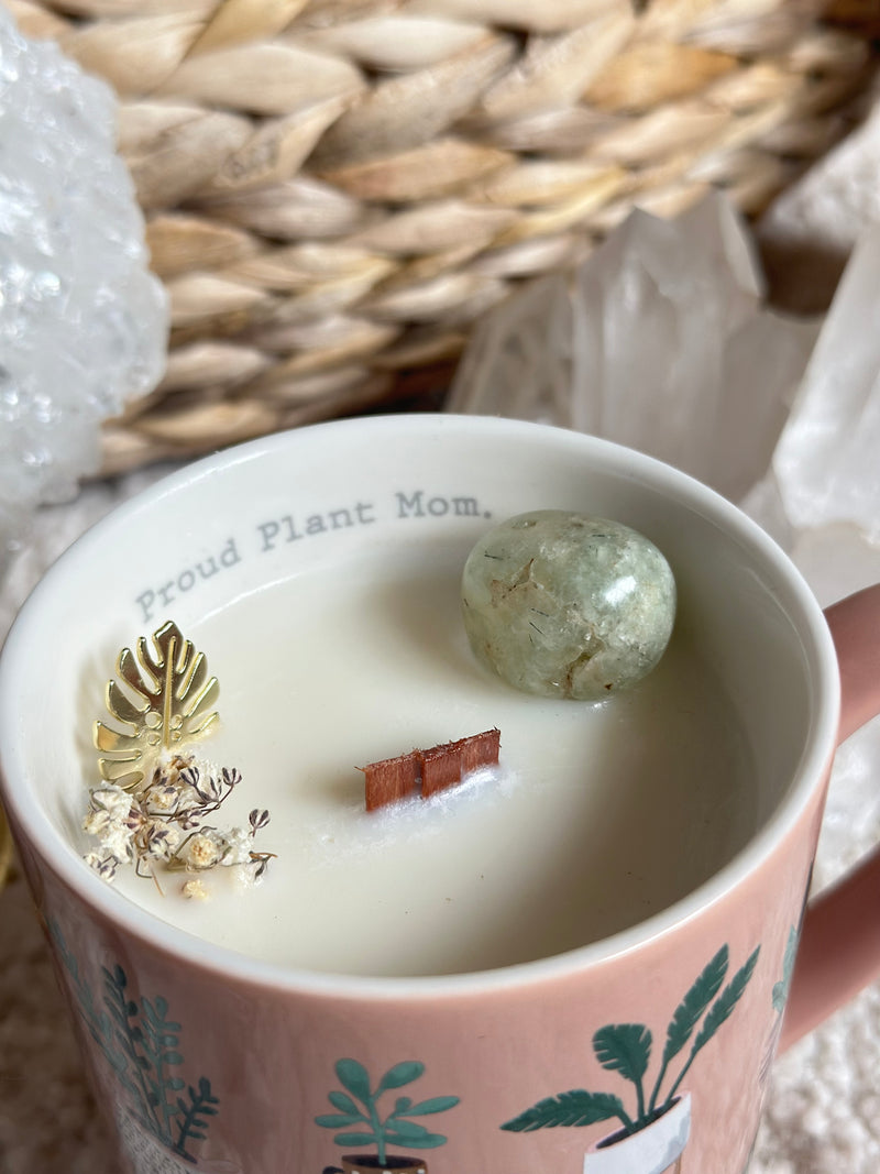 Chandelle | Plant Mom | Pêche Sapin