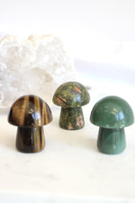 Champignon | Moyen