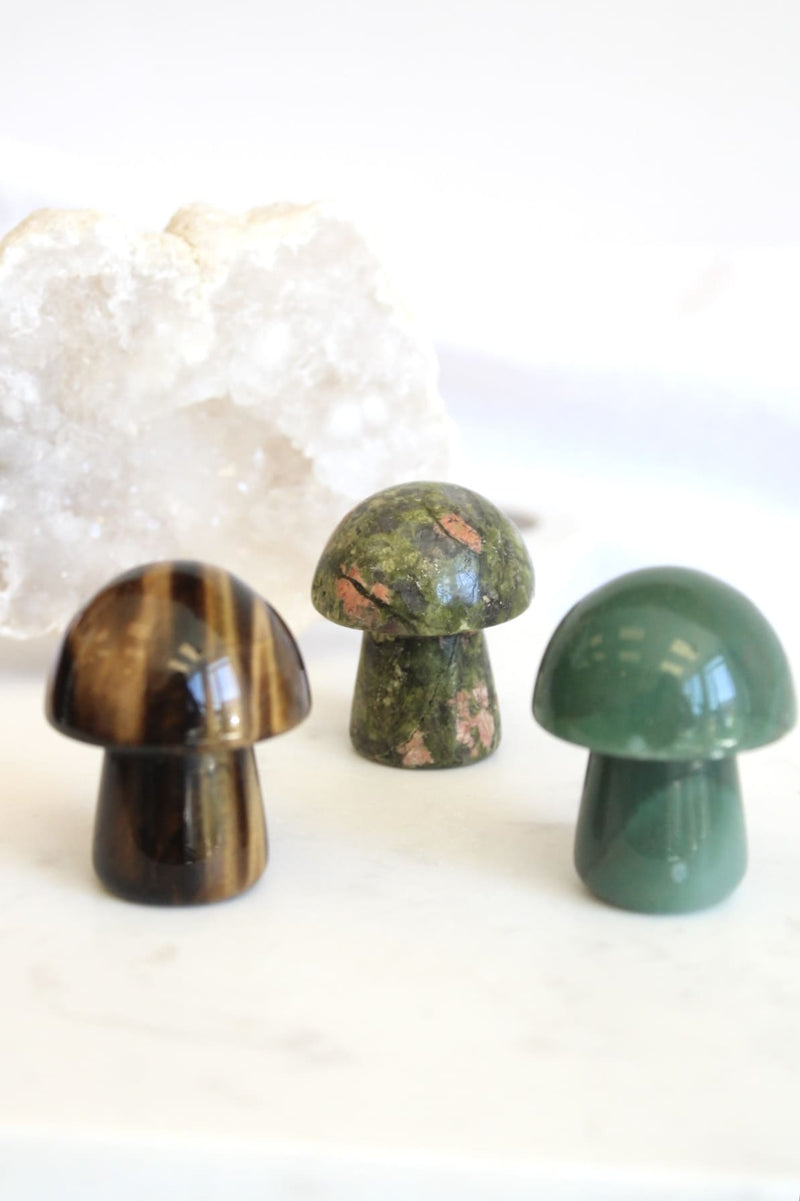 Champignon | Moyen