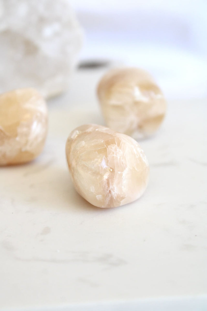 Pierre roulée | Stillbite