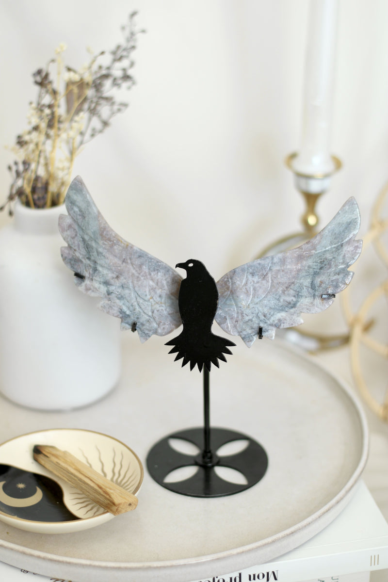Oiseau | Jaspe océan