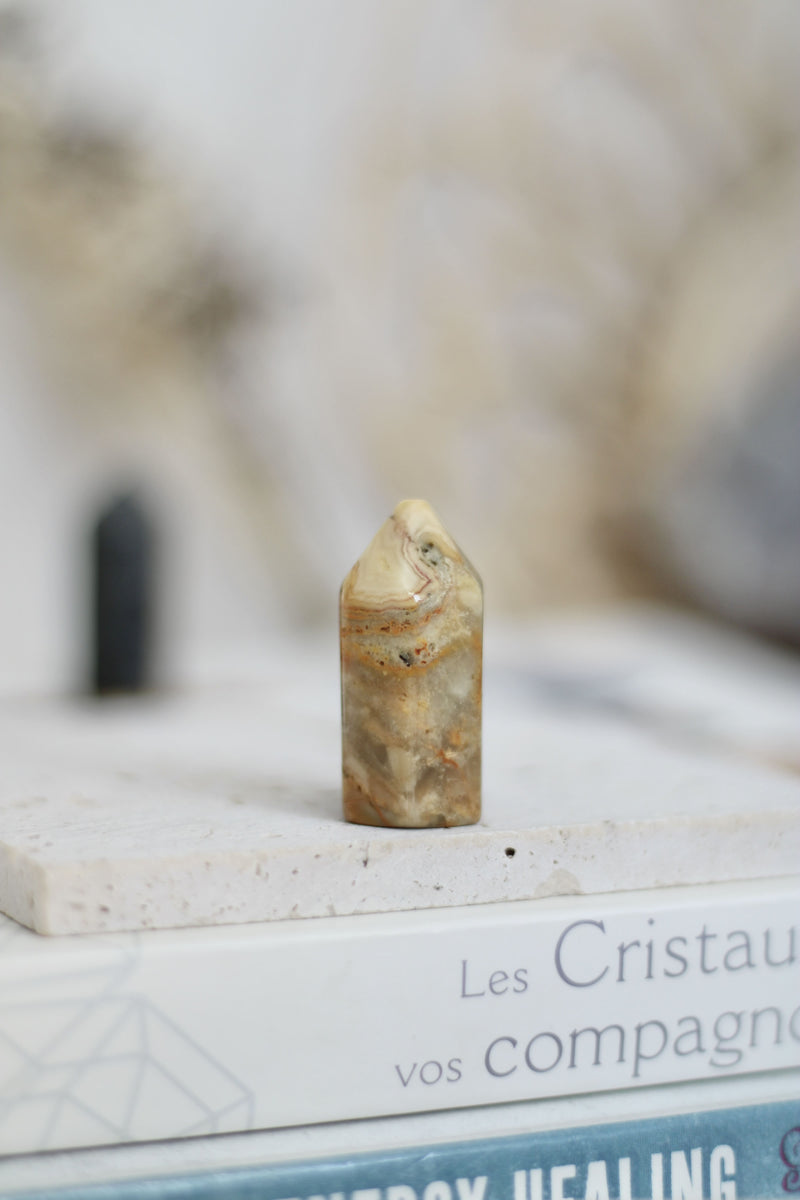 Mini tour | variées