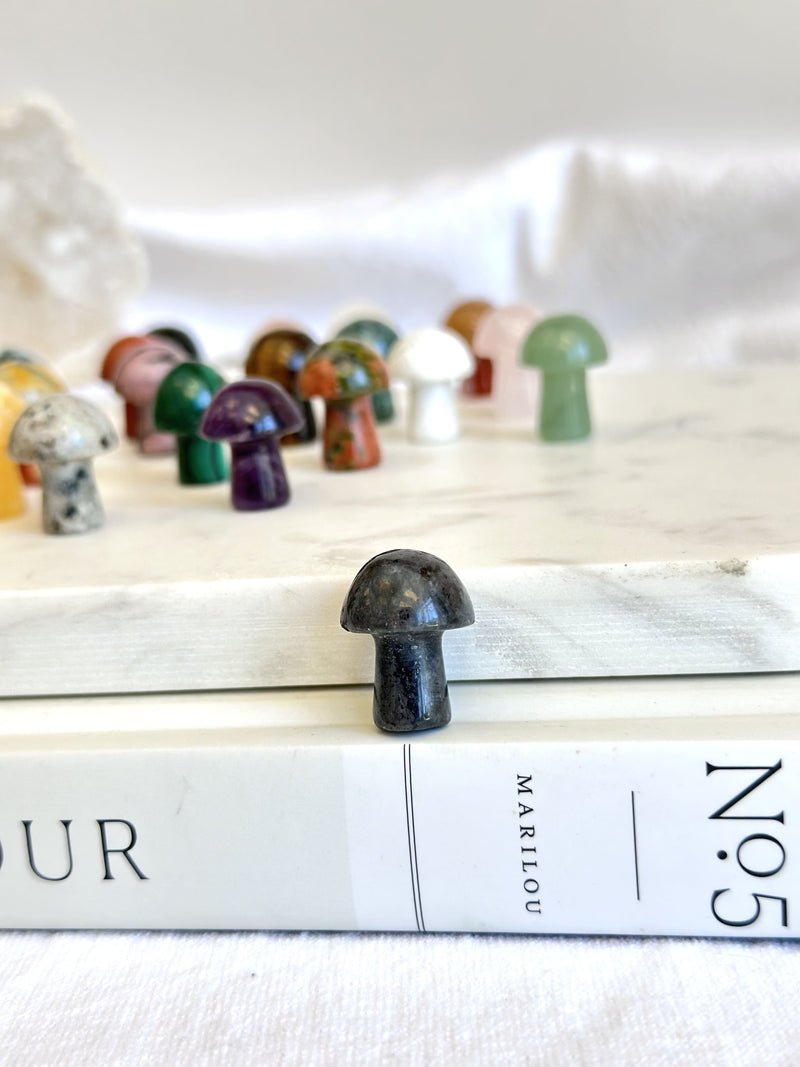 Mini Champignon | Cristaux