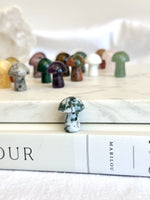 Mini Champignon | Cristaux