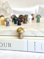 Mini Champignon | Cristaux