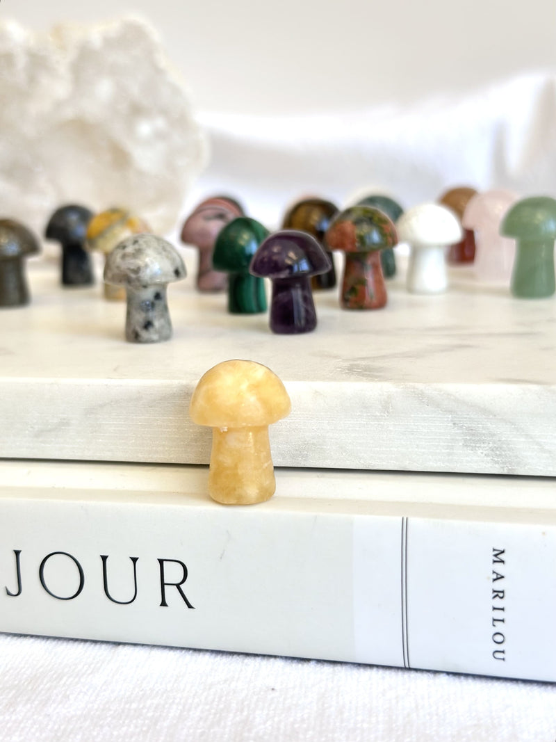 Mini Champignon | Cristaux