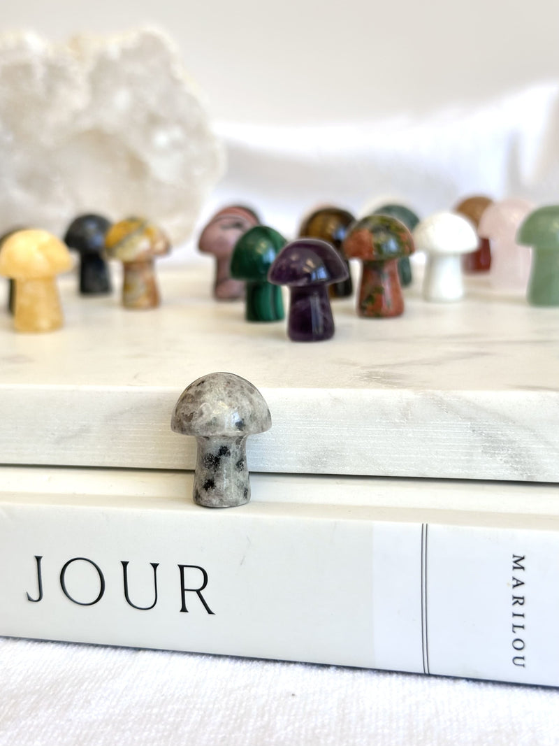 Mini Champignon | Cristaux