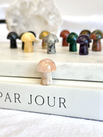 Mini Champignon | Cristaux