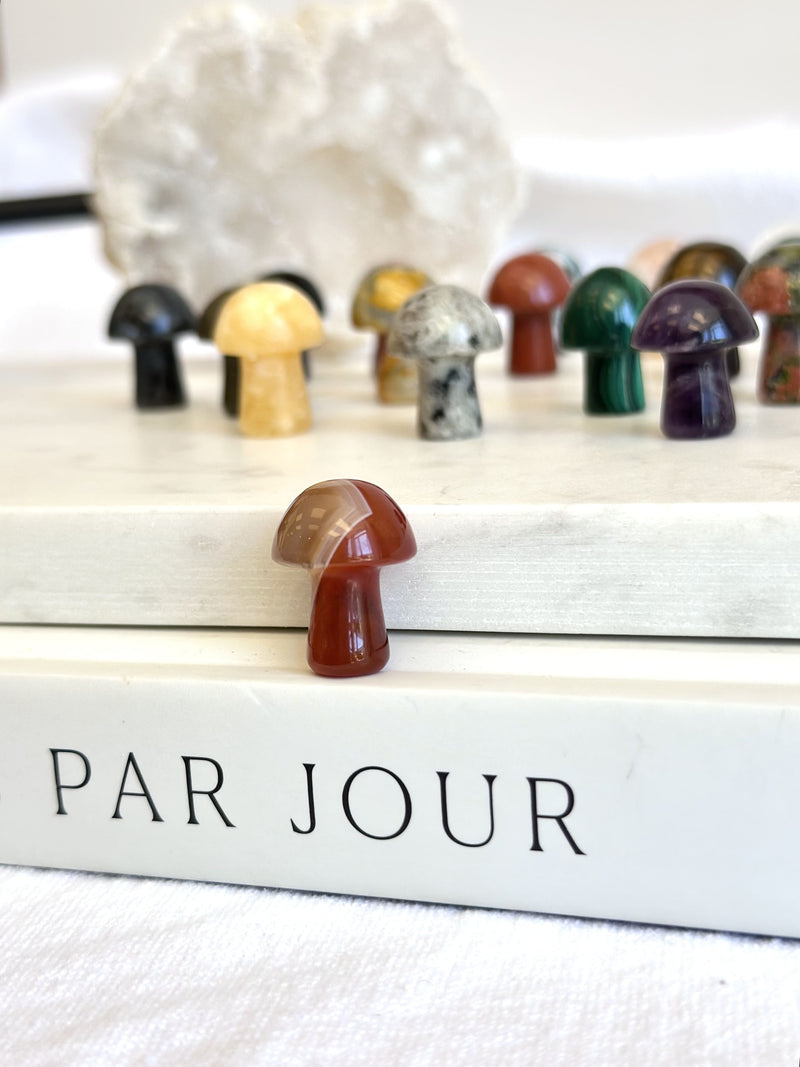 Mini Champignon | Cristaux