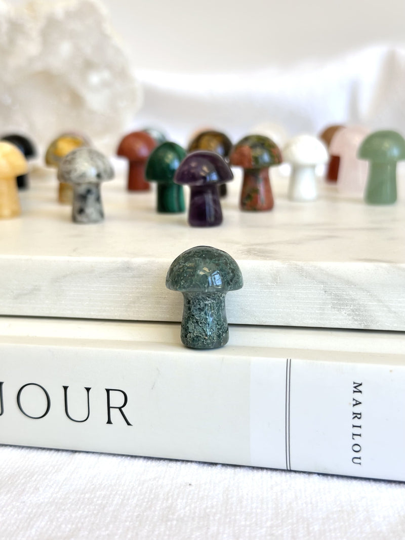 Mini Champignon | Cristaux