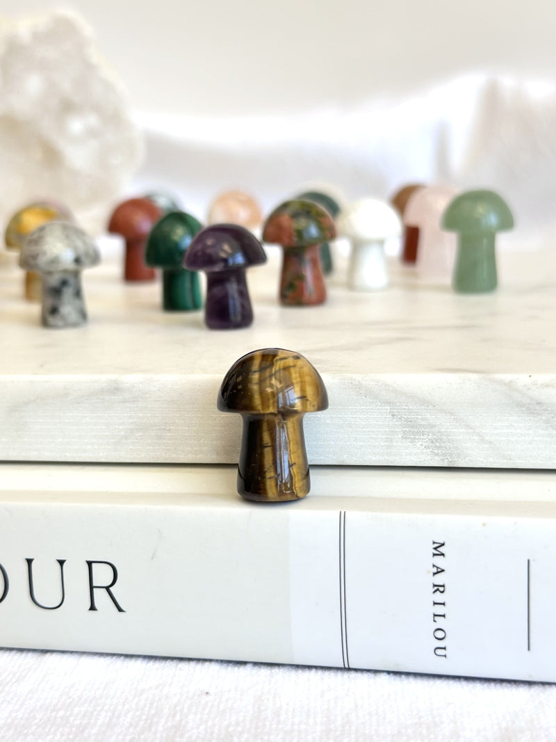 Mini Champignon | Cristaux