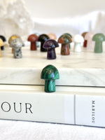 Mini Champignon | Cristaux
