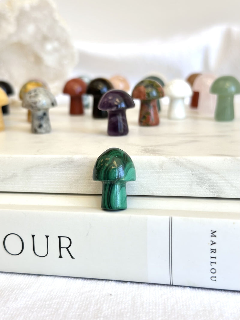 Mini Champignon | Cristaux