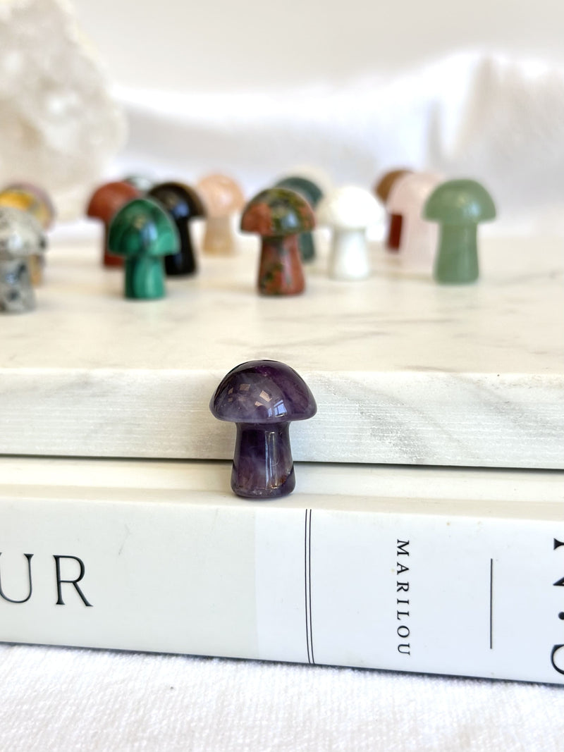 Mini Champignon | Cristaux