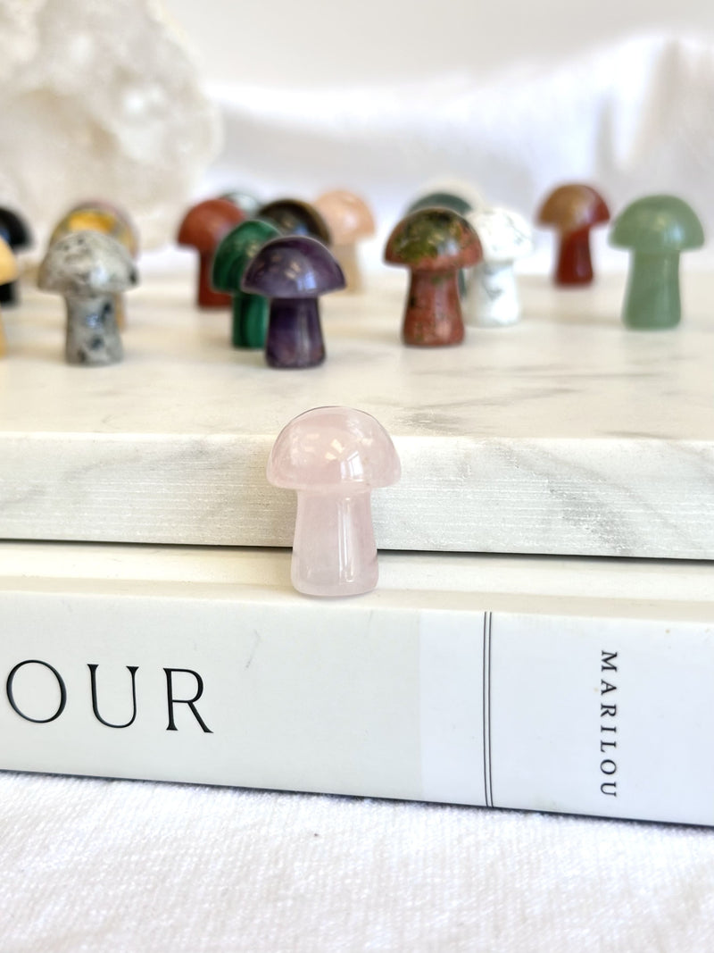 Mini Champignon | Cristaux