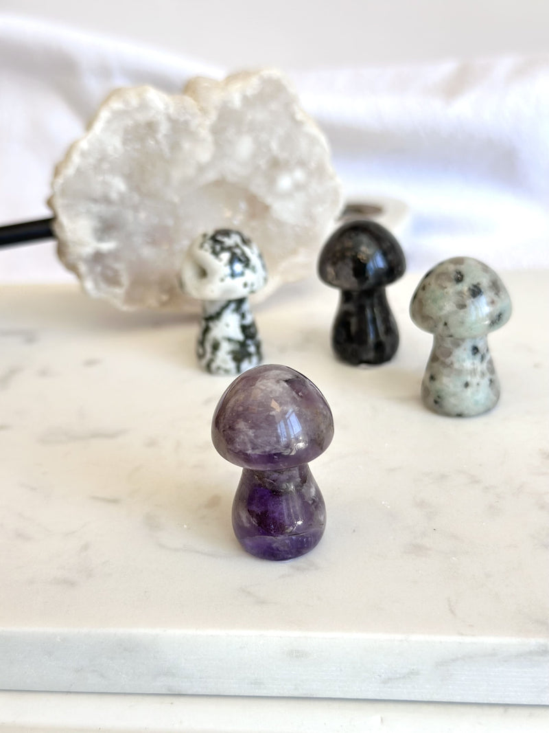 Petit champignon | Cristaux