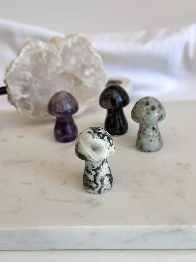 Petit champignon | Cristaux