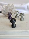 Petit champignon | Cristaux