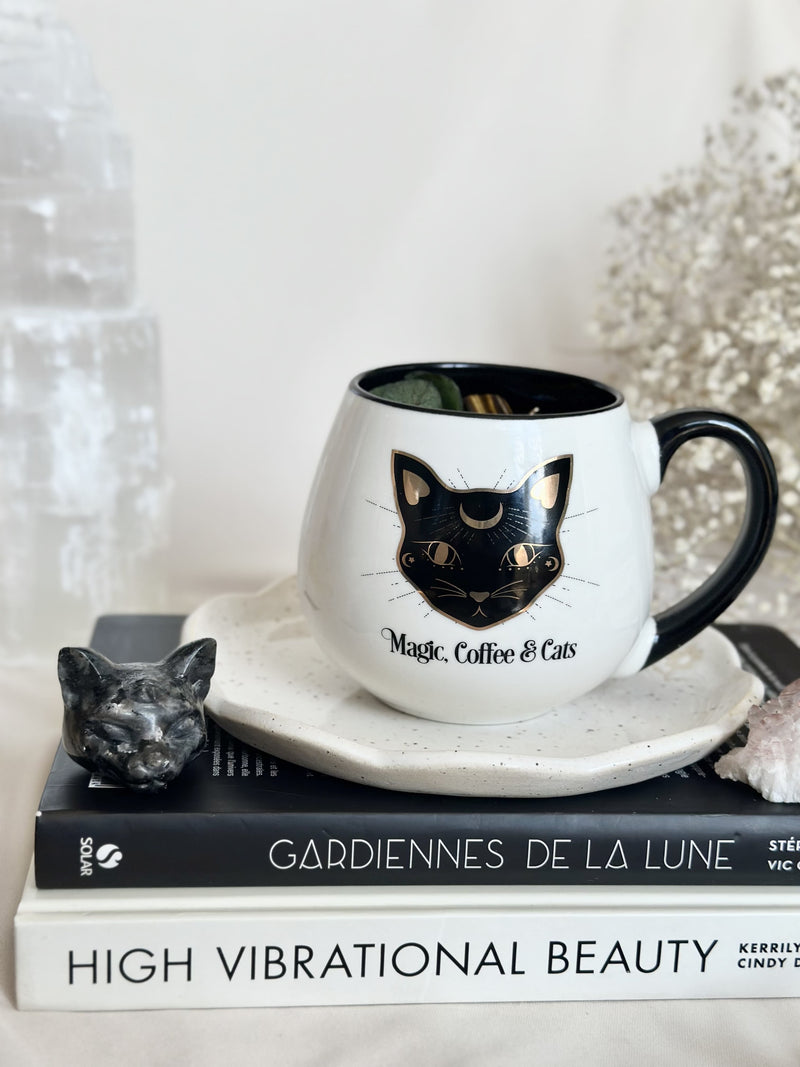 Chandelle | Coffee & Cats| Œil de chat