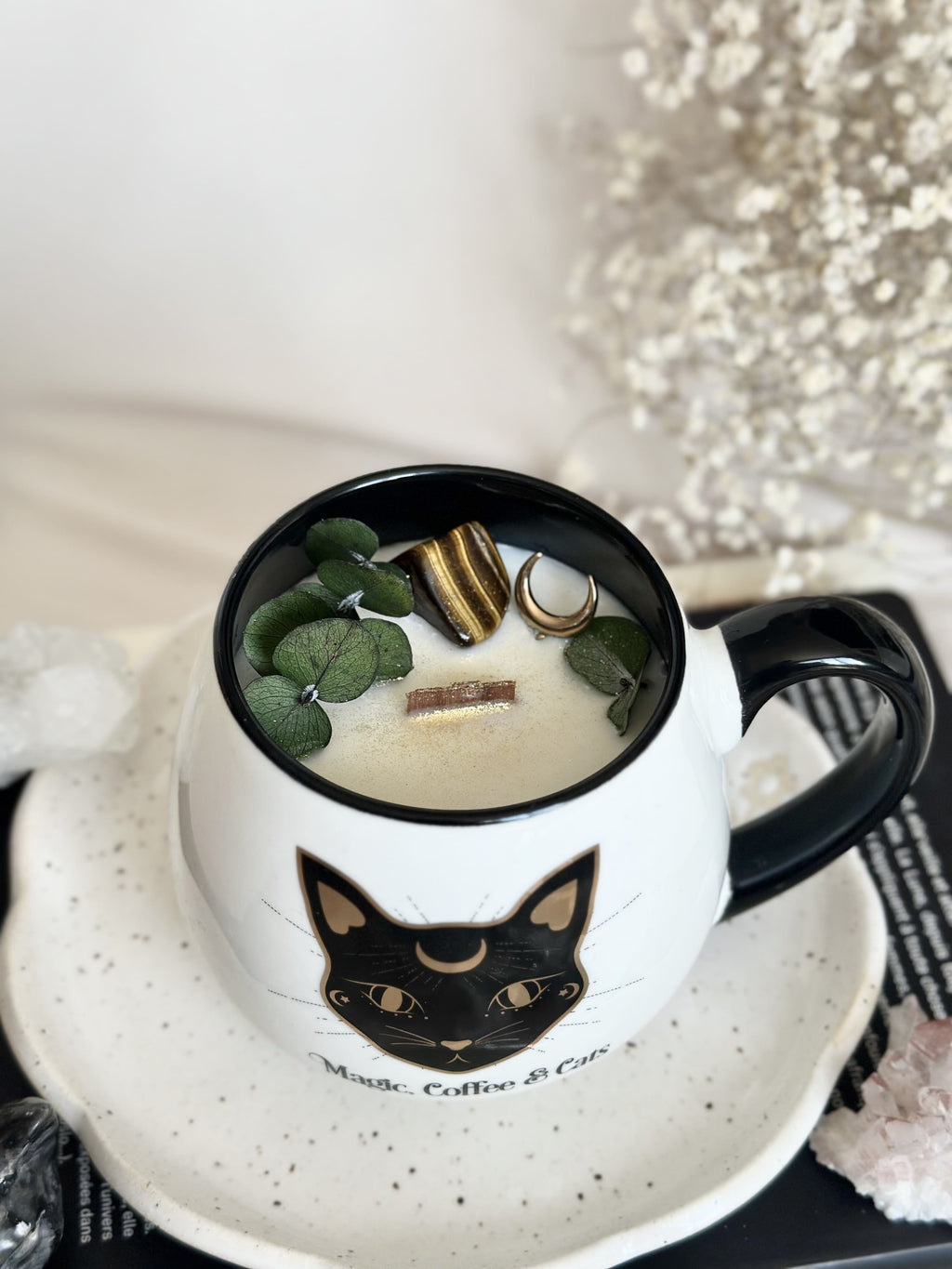 Chandelle | Coffee & Cats| Œil de chat