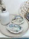 Ormeau | Coquille Abalone