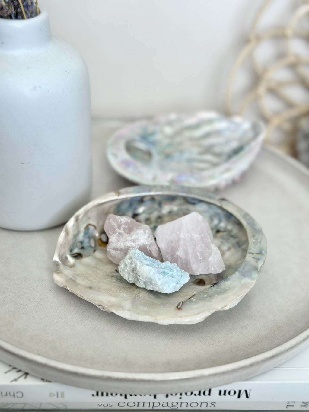 Ormeau | Coquille Abalone