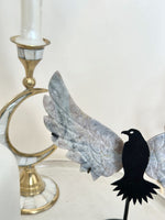Oiseau | Jaspe océan