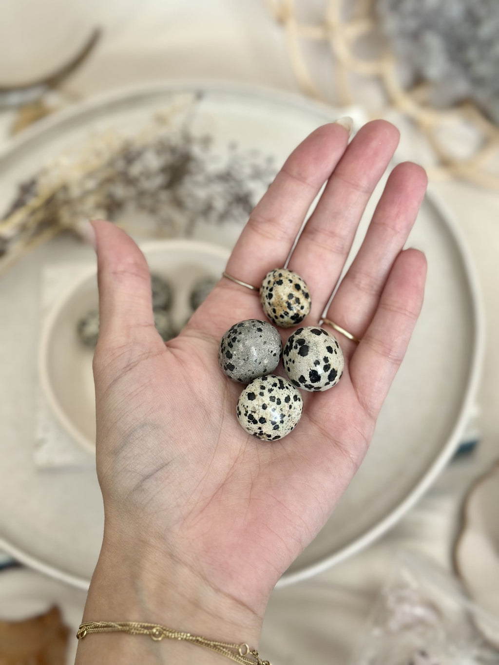 Pierre roulée | Jaspe dalmatien