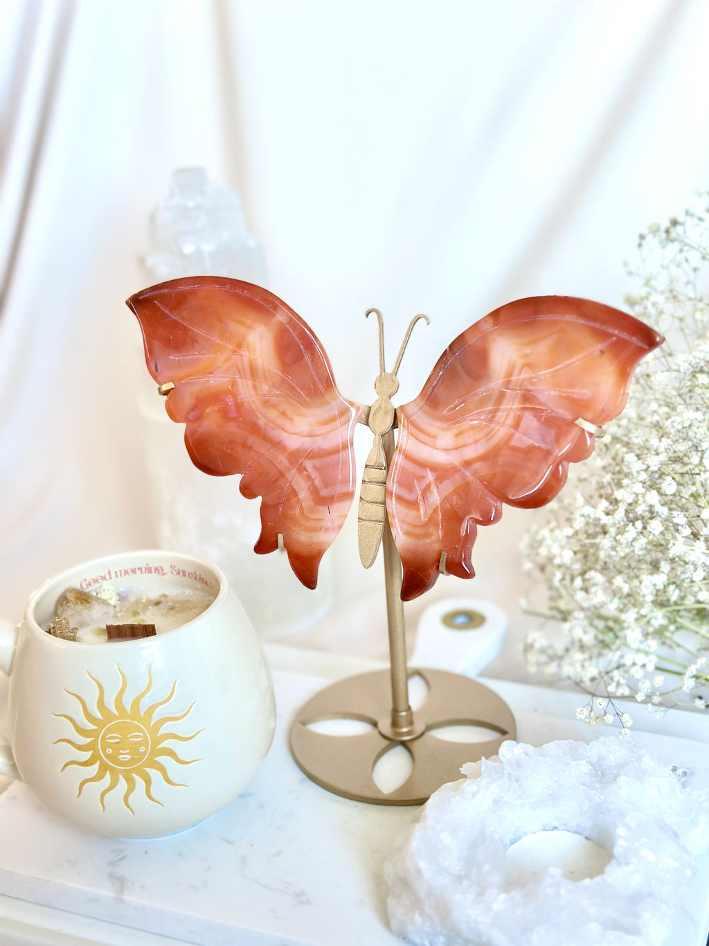 Papillon | Cornaline