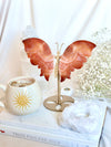 Papillon | Cornaline