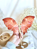Papillon | Cornaline