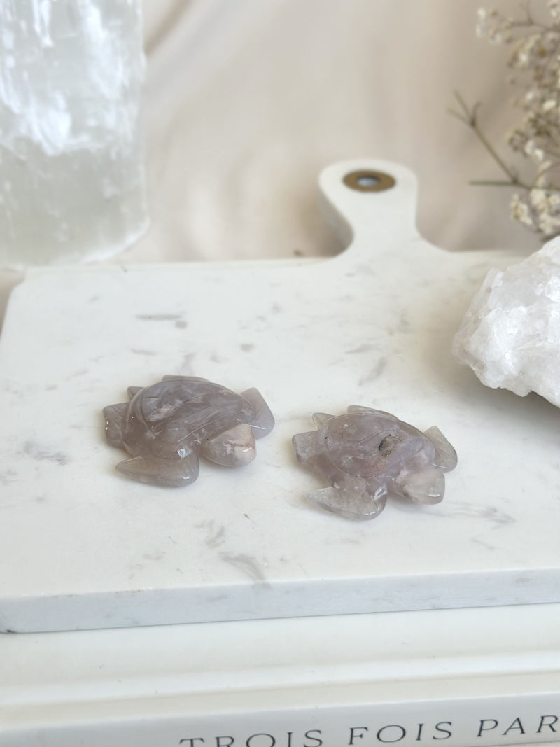 Tortue | Agate Fleur