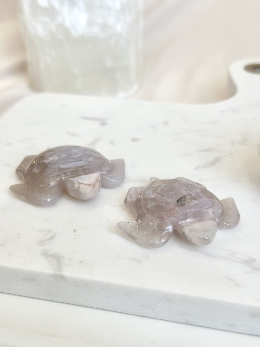 Tortue | Agate Fleur