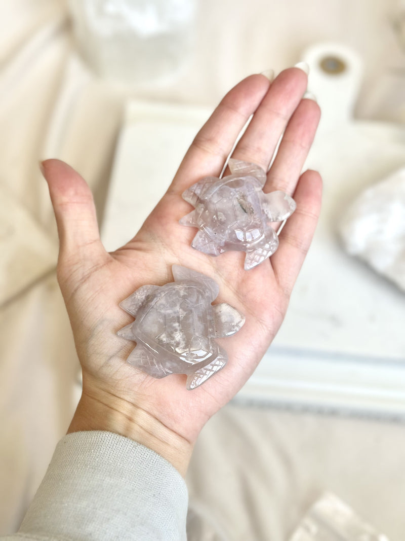 Tortue | Agate Fleur