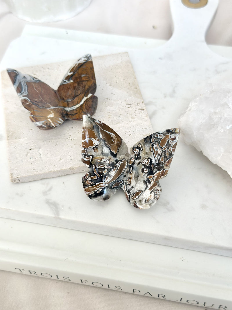 Papillon | Jaspe brechique