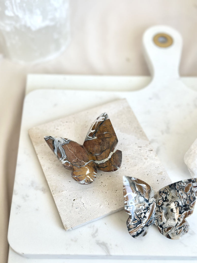 Papillon | Jaspe brechique