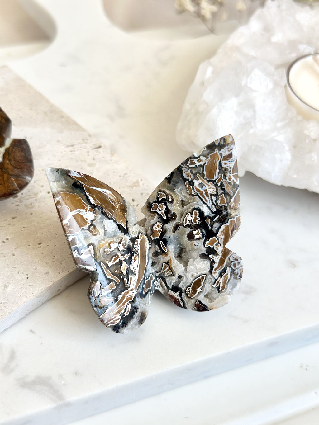 Papillon | Jaspe brechique