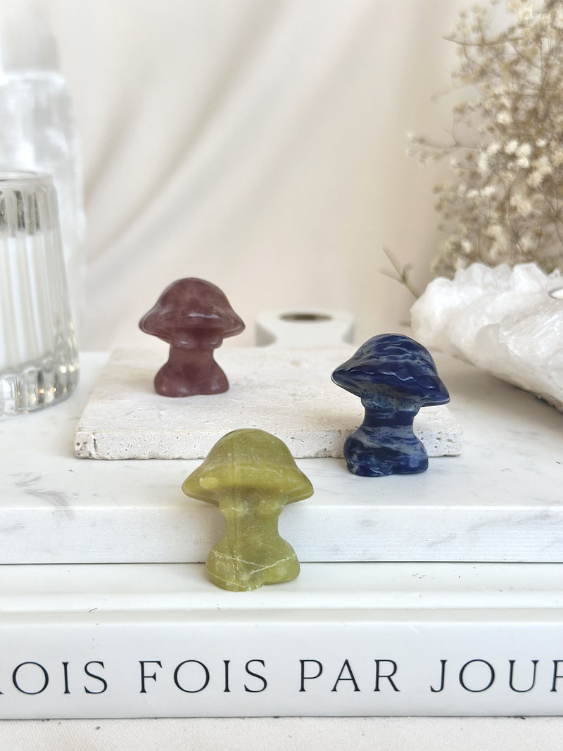 Corps-champignon | Collection