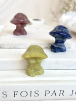 Corps-champignon | Collection