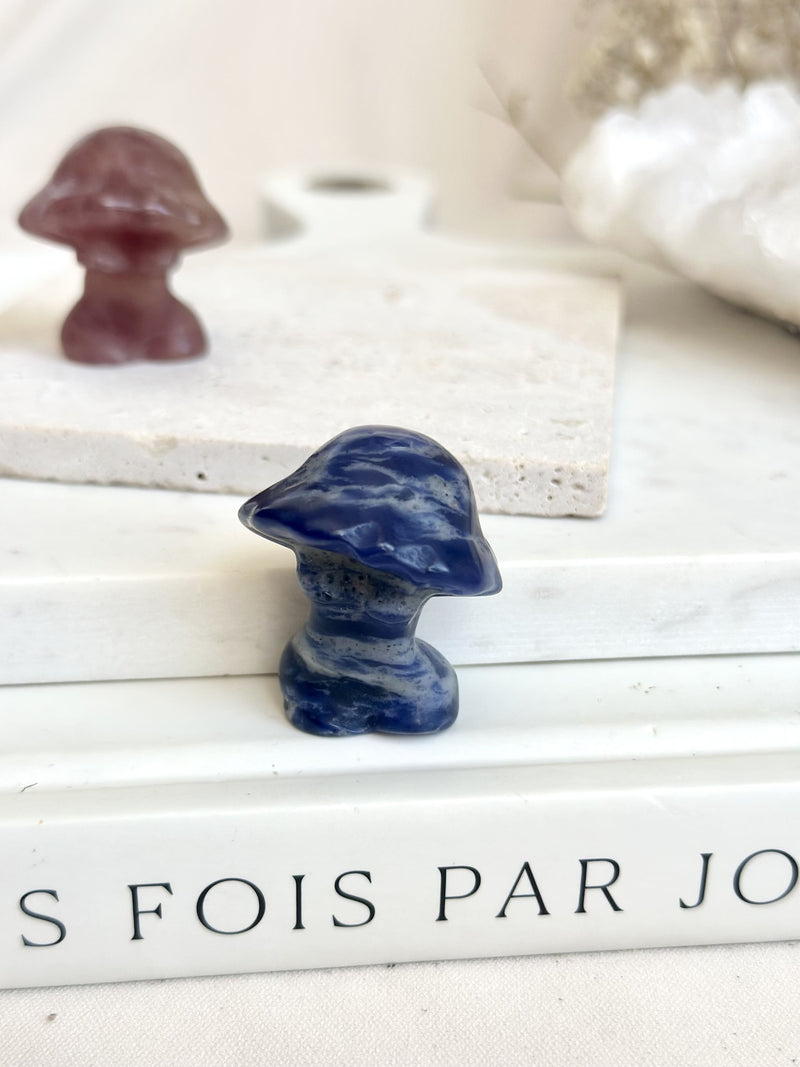 Corps-champignon | Collection