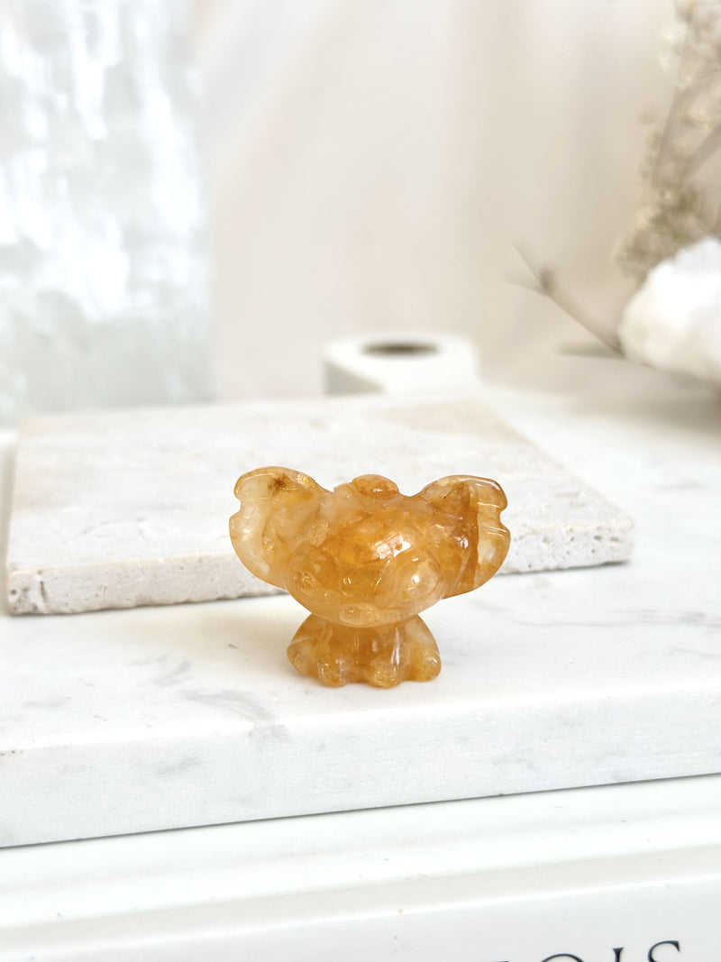 Mini stitch | Collection