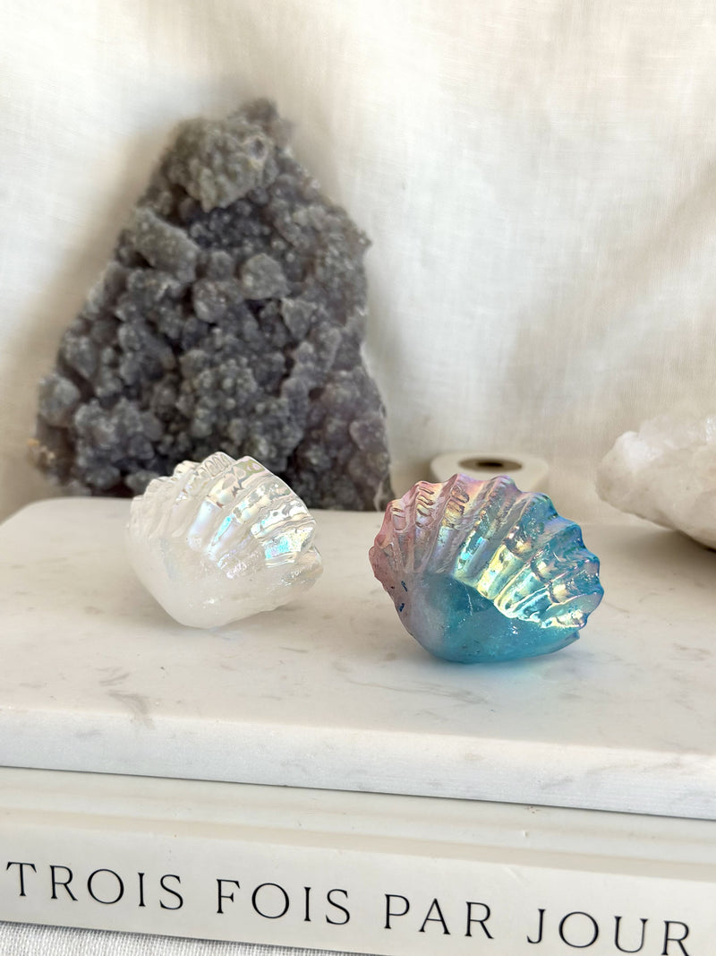 Coquillage | Quartz Aura