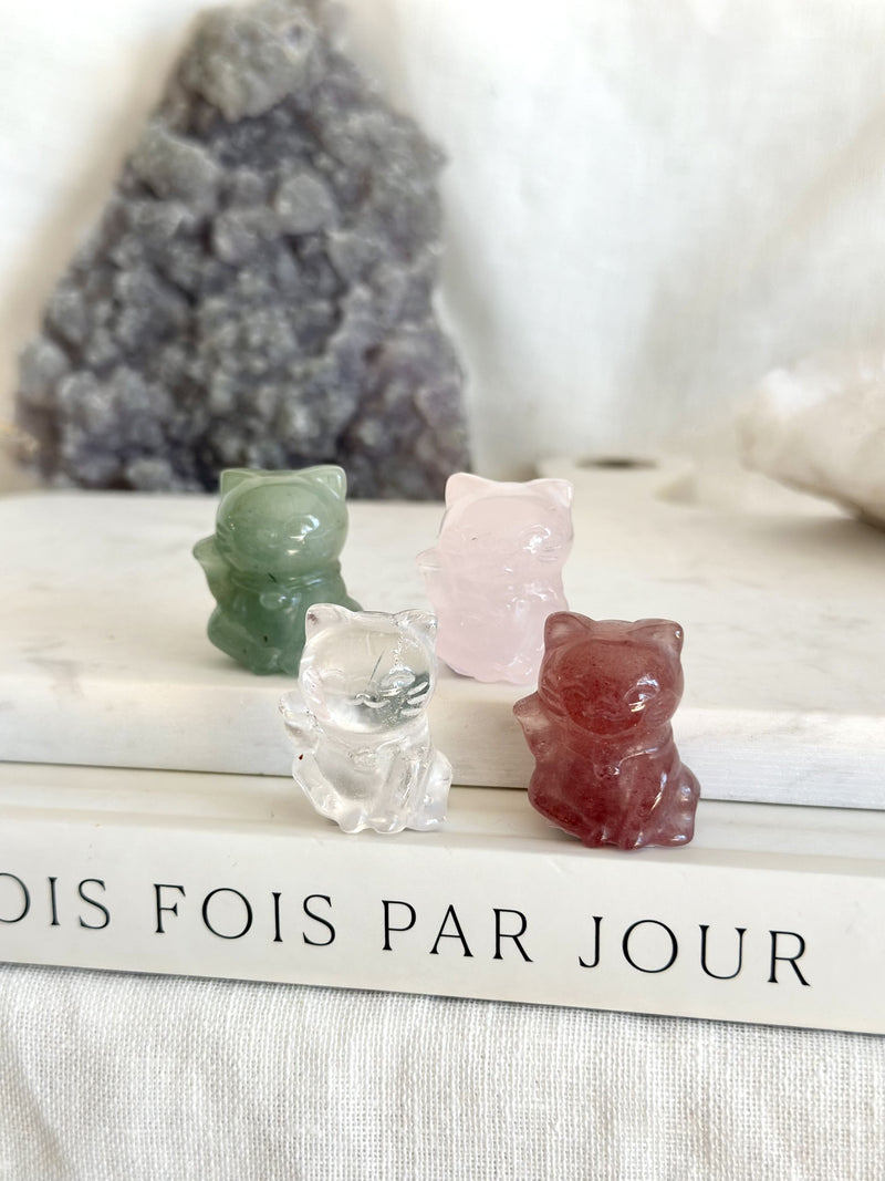 Money cat | Petit | Collection