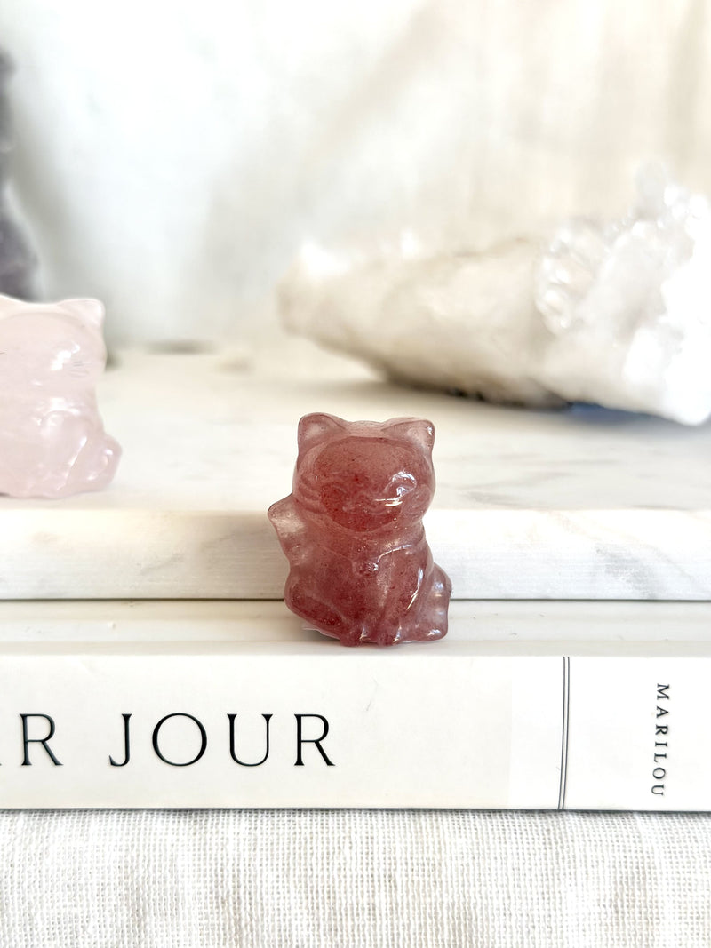 Money cat | Petit | Collection