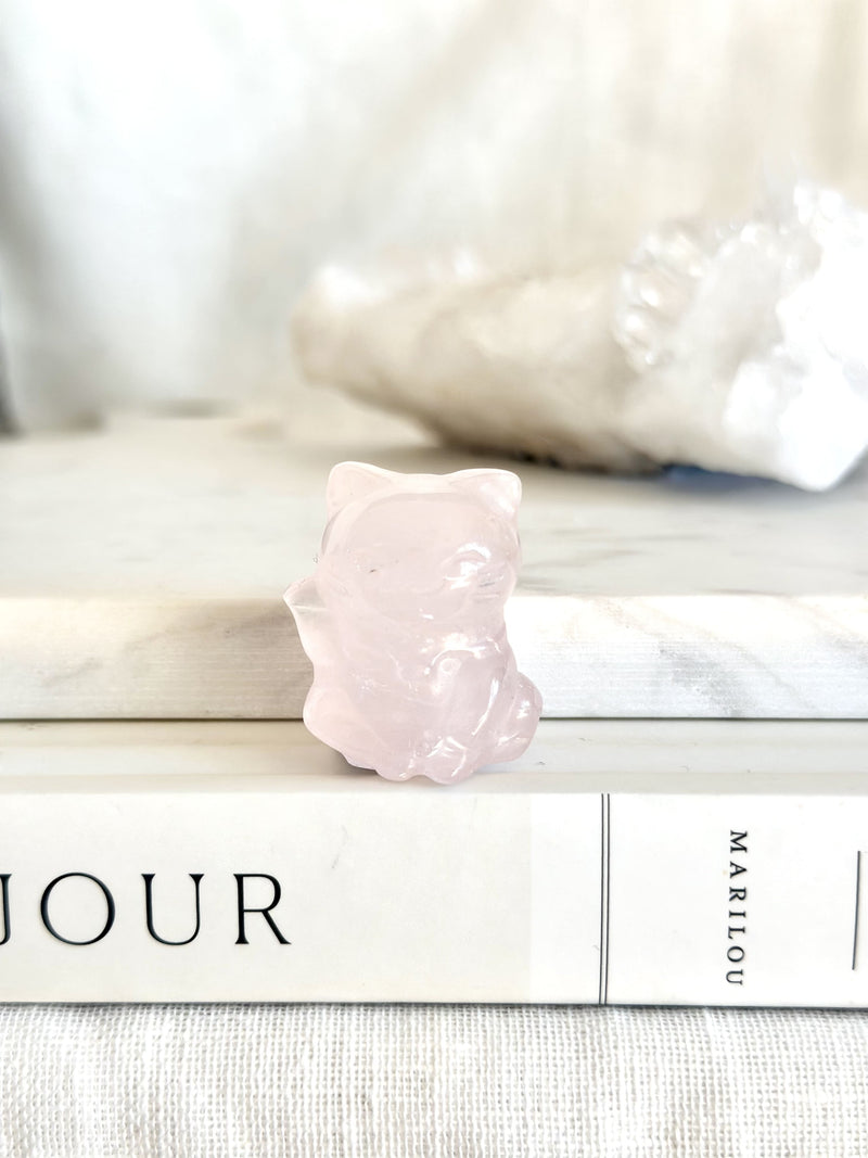 Money cat | Petit | Collection