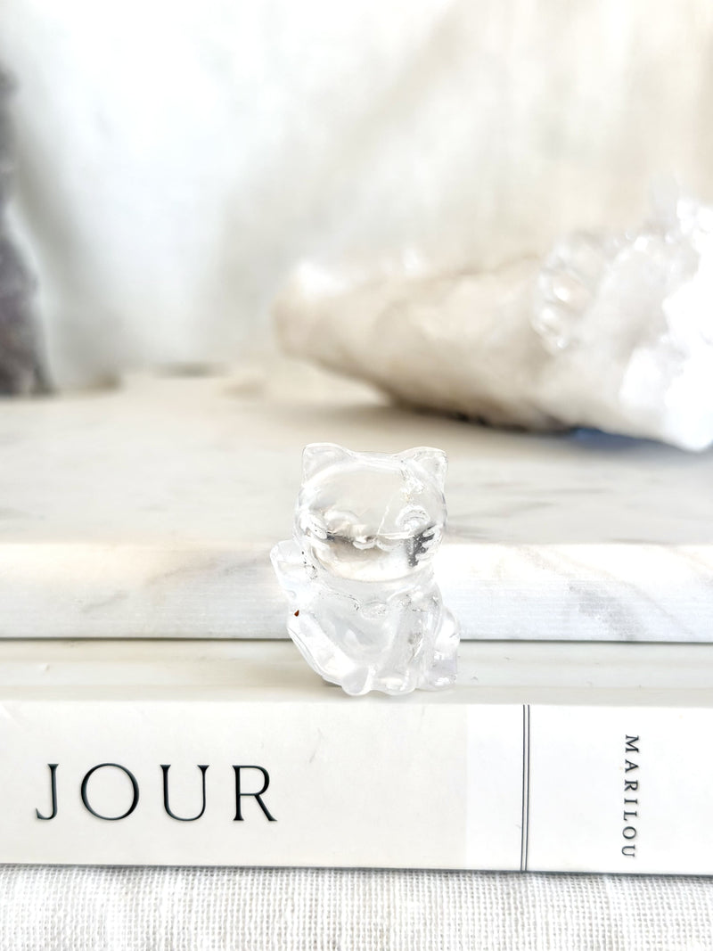 Money cat | Petit | Collection