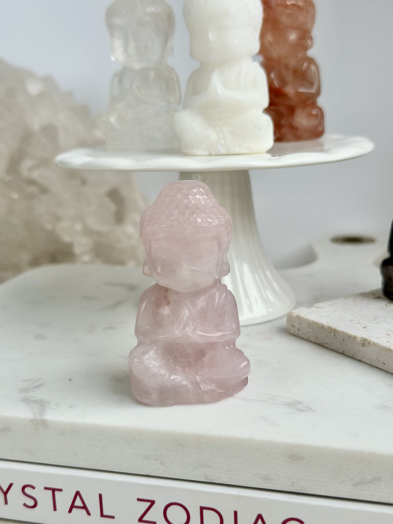 Bouddha | Collection